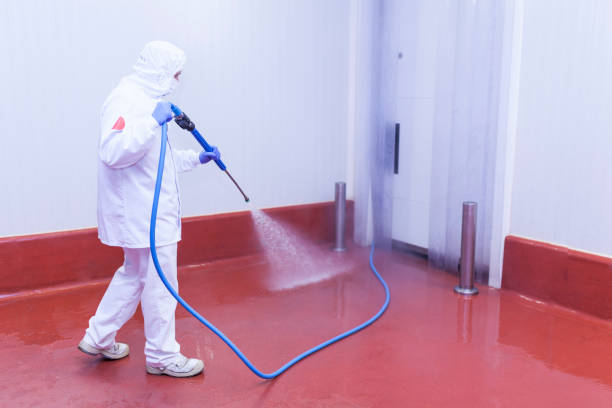Best Boat and Dock Cleaning  in Logan, OH